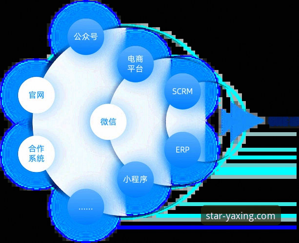 揭秘亚星娱乐官网入口手机版：官方平台的数据化体验解析
