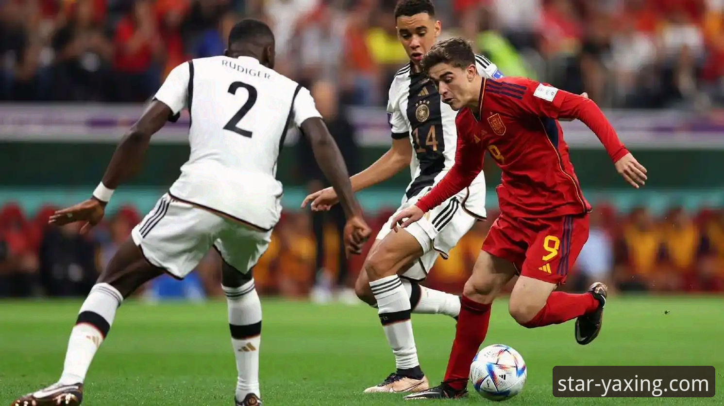 阿根廷新星重伤无缘世界杯的深度解析：从战术缺失到平台观赛体验